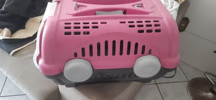 Transporte para pet
