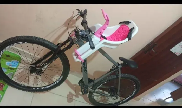 Bicicleta 29