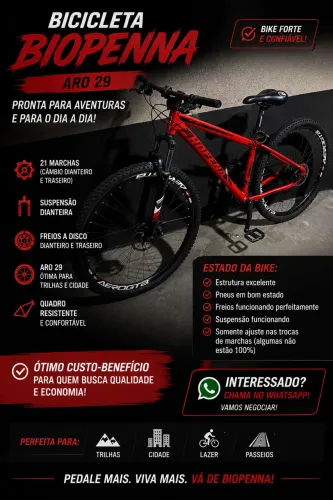 Bicicleta aro 29