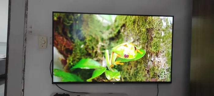 TV Sony 55 4k assistir a copa do mundo ?