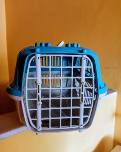 TRANSPORTE PARA PET.