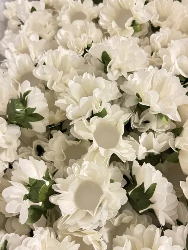 Forminhas para Doces