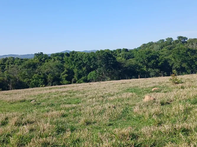 Vendo chacara com muito verde e água no fundo