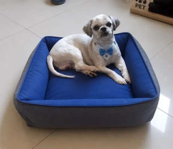 Caminha Pet Macia e Quentinha + brinde especial