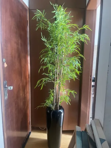 Planta artificial decorativa para salas ou recepção