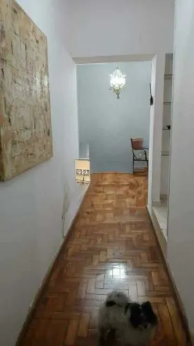 Apartamento - / Residencial / Flamengo