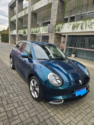 GWM Ora 03 Skin (elétrico) 2024