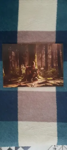Vendo quadro the last of us 2
