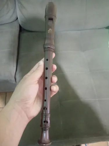 Flauta doce 