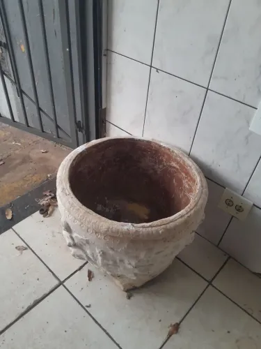 Vaso de planta