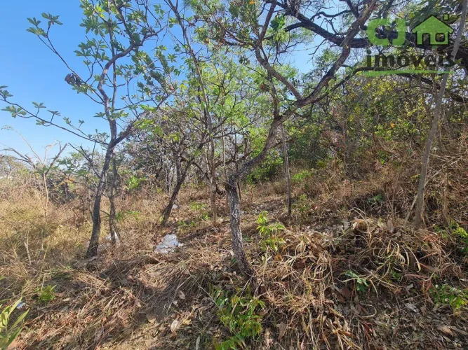 Terreno à venda, 6726 m² por R$ 1.200.000,00 - Vale dos Sonhos - Lagoa Santa/MG