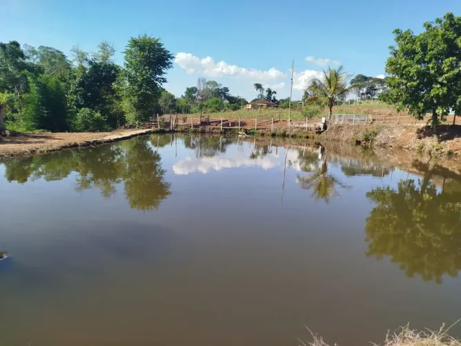 sitio em cajuru 1.5 alqueires 650.000.00    ( b )