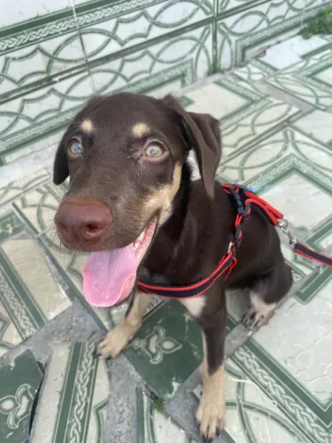 doaçao responsável 