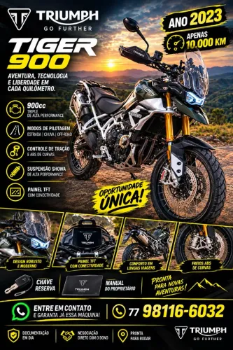 Tiger 900 Rally