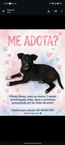 adoção