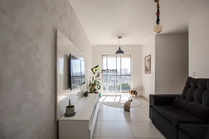 Apartamentos para locação - Bairro Limão - Condomínio Mirante Caetano Alvares