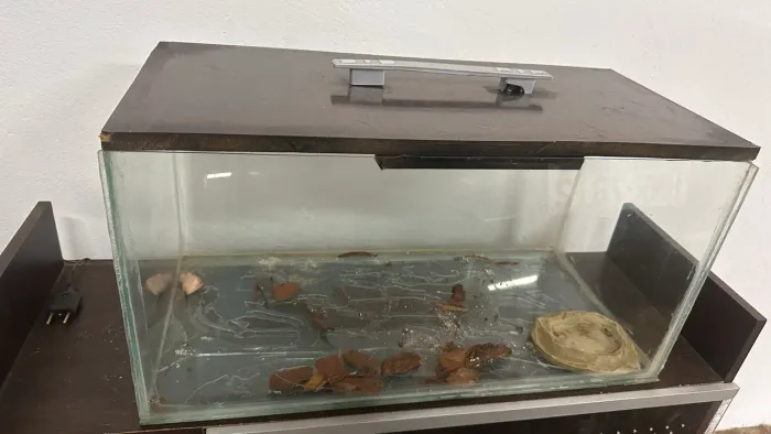 Terrário para Lagartos, Cobras e outros animais