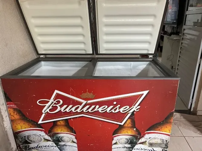Freezer cônsul 110v