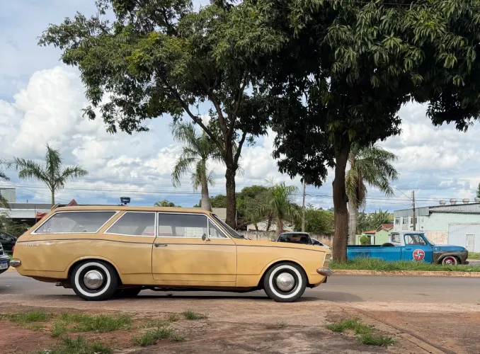 Chevrolet Caravan L/sl/s/ss 2.5/4.1/4.2 1979