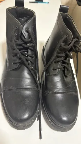 Bota