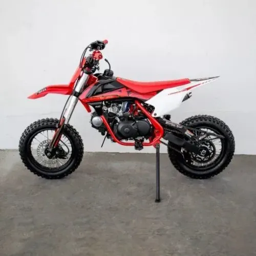 Mini moto Laminha 100cc