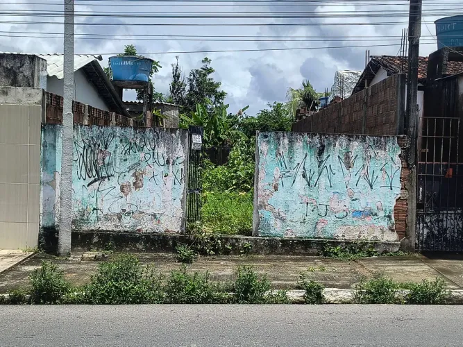 terreno