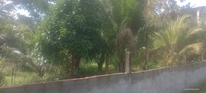 Vendo um sítio em cajazeira 8