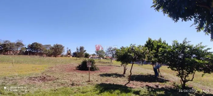 Chácara à venda em Engenheiro Beltrão, Centro, com 352 m²