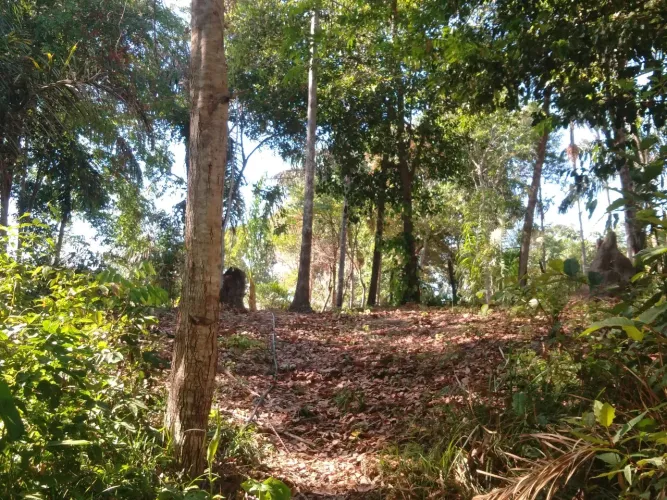 Vendo ótima chácara em lugar lindo e tranquilo.