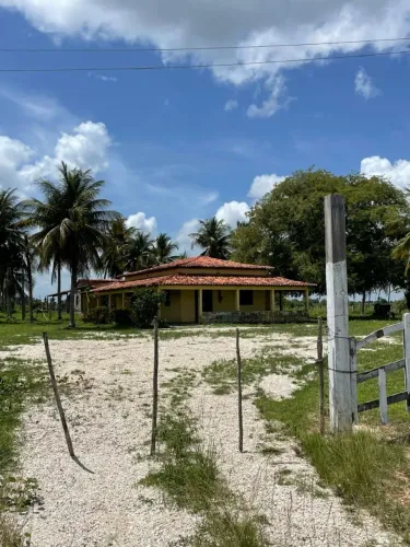 Vende-se Fazenda em Santa Luzia do Parua MA com 800 ha