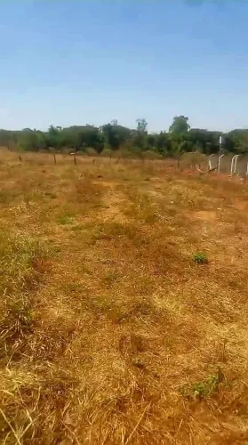 Lote jardim primavera 418mtrs quadrado