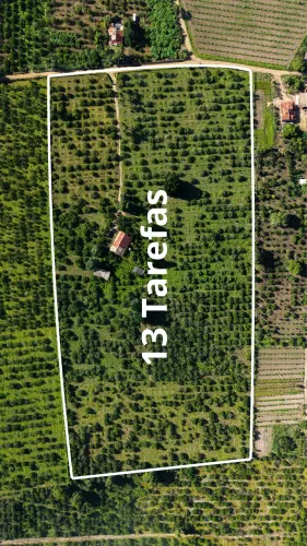Vende-se Sítio em Macaúbas Sapeaçu/BA