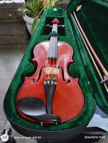 Violino Michael 3x4 sem esparelha