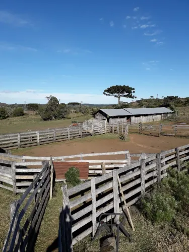 ÁREA DE CAMPOS E MATOS DE 382 HA EM CAZUZA FERREIRA, SÃO FRANCISCO DE PAULA