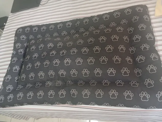 Cama grandona Para Cachorro ( 1 Metro) + Brinquedo com som