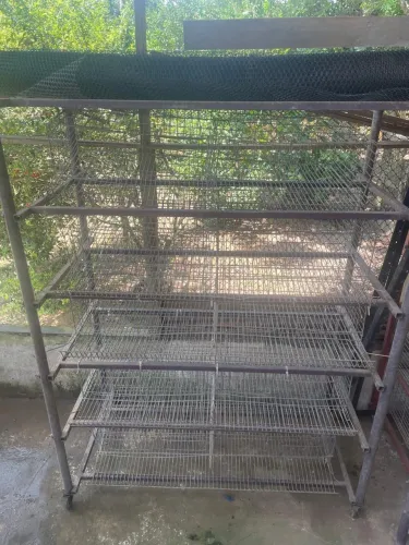 Gaiolas em torre para codornas