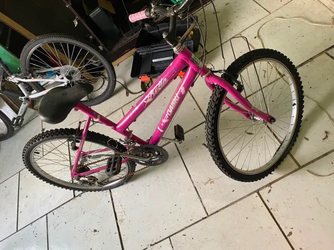 Bicicleta