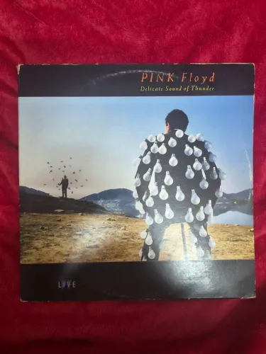 Pink Floyd - Delicate Sound of Thunder (LP/Vinil)