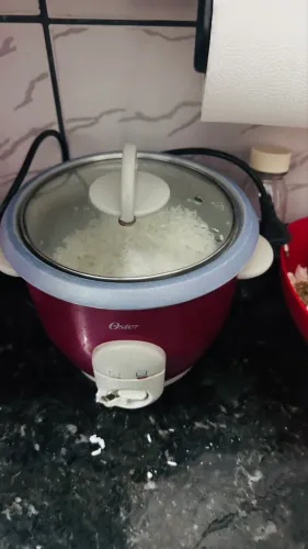Panela Elétrica Multifuncional - Funcionando Perfeitamente!