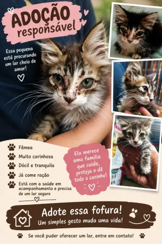 Gatinha para doação