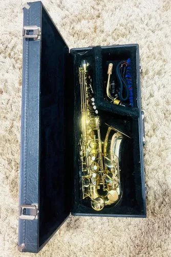 Sax Alto Shelter semi novo