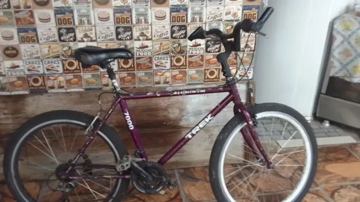 Bicicleta