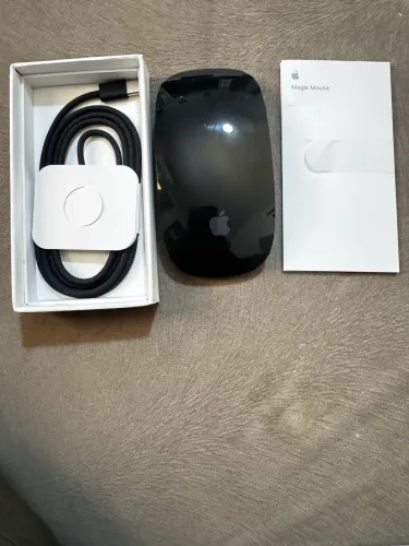 Magic Mouse Lighting black