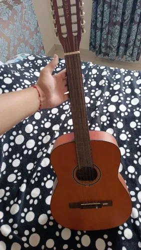 Viola Elétrica 10 Cordas
