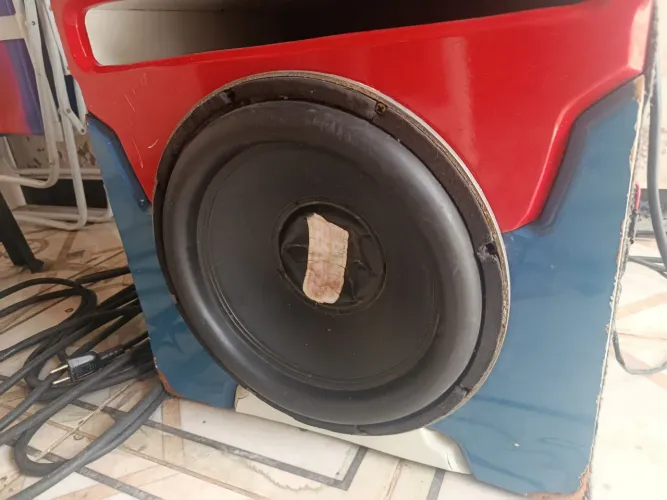 Grave de 12 bobina dupla 500 rms