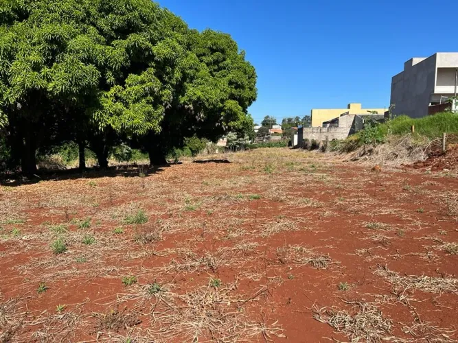 Terreno à venda, 7000 m² por R$ 2.800.000,00 - Chácaras Mussahiro - Londrina/PR
