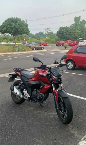 FZ 15 2024