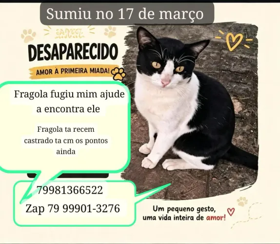 Perdido no 17 de março 