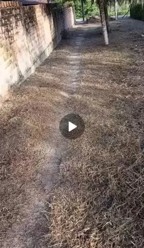 Vendo terreno em Salinas, Tamanho 8 por 38