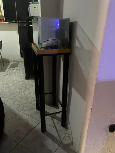Aquário de peixe
